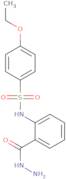 4-Ethoxy-N-(2-hydrazinocarbonyl-phenyl)-benzenesulfonamide