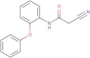 2-Cyano-N-(2-phenoxyphenyl)acetamide