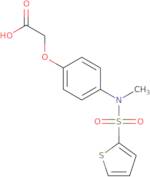 2-[4-(N-Methylthiophene-2-sulfonamido)phenoxy]acetic acid