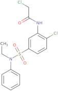 2-Chloro-N-{2-chloro-5-[ethyl(phenyl)sulfamoyl]phenyl}acetamide