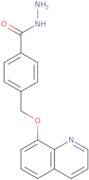 4-[(Quinolin-8-yloxy)methyl]benzohydrazide