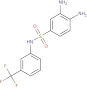 3,4-Diamino-n-(3-trifluoromethyl-phenyl)-benzenesulfonamide