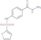 N-[4-(Hydrazinecarbonyl)phenyl]thiophene-2-sulfonamide