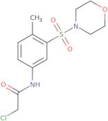 2-Chloro-N-[4-methyl-3-(morpholine-4-sulfonyl)phenyl]acetamide