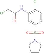 2-Chloro-N-[2-chloro-5-(pyrrolidine-1-sulfonyl)phenyl]acetamide