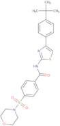 N-[4-(4-tert-Butylphenyl)-1,3-thiazol-2-yl]-4-(morpholine-4-sulfonyl)benzamide