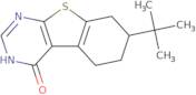 7-tert-Butyl-5,6,7,8-tetrahydro[1]benzothieno[2,3-d]pyrimidin-4(3H)-one