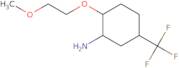 2-(2-Methoxyethoxy)-5-(trifluoromethyl)cyclohexan-1-amine