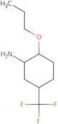 2-Propoxy-5-(trifluoromethyl)cyclohexan-1-amine