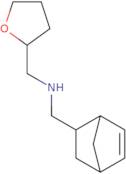 Bicyclo[2.2.1]hept-5-en-2-ylmethyl-(tetrahydro-furan-2-ylmethyl)-amine
