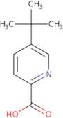 5-tert-butylpyridine-2-carboxylic acid