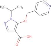 5-Amino-2-methylnaphthalen-1-ol hydrochloride