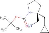 1-Boc-(2R)-2-(aminomethyl)-2-(cyclopropylmethyl)pyrrolidine ee