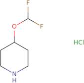 4-(Difluoromethoxy)piperidine HCl