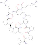 Ras Inhibitory Peptide
