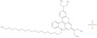 cRhodamine B octadecyl ester perchlorate