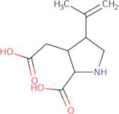 (+/-)-Kainic acid