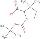 rac N-boc-3,3-dimethyl-2-pyrrolidenecarboxylic acid