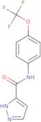 1H-Pyrazole-3-carboxylic acid (4-trifluoromethoxy-phenyl)-amide