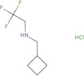 (Cyclobutylmethyl)(2,2,2-trifluoroethyl)amine hydrochloride