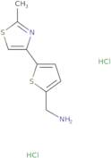 [5-(2-Methyl-1,3-thiazol-4-yl)thien-2-yl]methylamine dihydrochloride