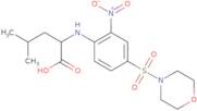 N-[4-(Morpholin-4-ylsulfonyl)-2-nitrophenyl]leucine