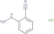 2-Hydrazinylbenzonitrile hydrochloride