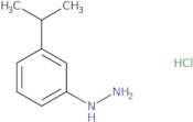 (3-Isopropyl-phenyl)-hydrazine hydrochloride