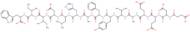 Succinyl-(Glu9,Ala11·15)-Endothelin-1 (8-21)