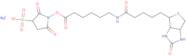 Sulfo-N-succinimidyl 6-(biotinamido) hexanoate, sodium salt