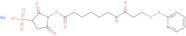 Sulfo-N-succinimidyl 6-[3-(2-pyridyldithio)propionamido] hexanoate, sodium salt