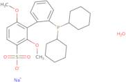 Sodium 2'- dicyclohexylphosphino-2,6-dimethoxy-1,1'-biphenyl-3-sulfonate hydrate