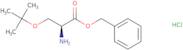 H-Ser(tBu)-OBzl.HCl