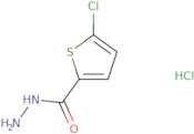 5-Chloro-thiophene-2-carboxylic acid hydrazide hydrochloride