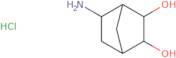 5-Aminobicyclo[2.2.1]heptane-2,3-diol hydrochloride