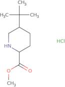 Methyl 5-tert-butylpiperidine-2-carboxylate hydrochloride