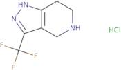 3-(Trifluoromethyl)-4,5,6,7-tetrahydro-1H-pyrazolo[4,3-c]pyridine hydrochloride