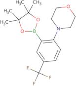 4-[2-(4,4,5,5-Tetramethyl-1,3,2-dioxaborolan-2-yl)-4-(trifluoromethyl)phenyl]morpholine