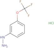 [3-(trifluoromethoxy)phenyl]hydrazine;hydrochloride