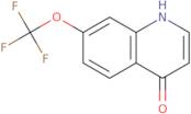7-(trifluoromethoxy)-1h-quinolin-4-one