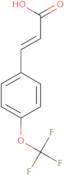 3-[4-(trifluoromethoxy)phenyl]acrylic Acid