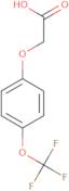 2-[4-(trifluoromethoxy)phenoxy]acetic Acid