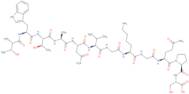 Thrombin B-Chain (147-158) (human)