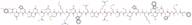 (D-Trp12,Tyr34)-pTH (7-34) amide (bovine) trifluoroacetate salt