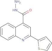 2-Thien-2-ylquinoline-4-carbohydrazide