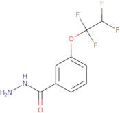 3-(1,1,2,2-Tetrafluoroethoxy)benzohydrazide