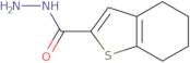 4,5,6,7-Tetrahydro-1-benzothiophene-2-carbohydrazide