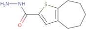 5,6,7,8-Tetrahydro-4H-cyclohepta[b]thiophene-2-carbohydrazide