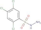 2,4,5-Trichlorobenzenesulfonohydrazide