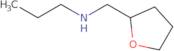 N-(Tetrahydrofuran-2-ylmethyl)propan-1-amine